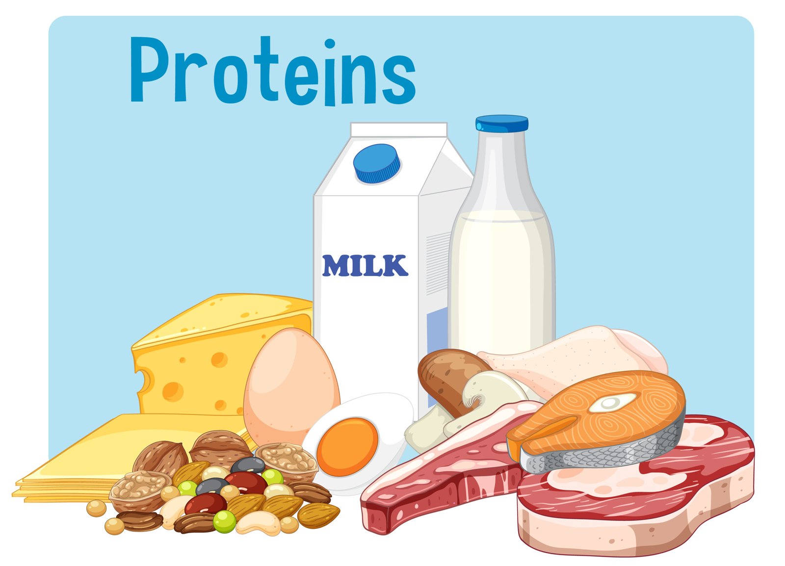 Protein diet