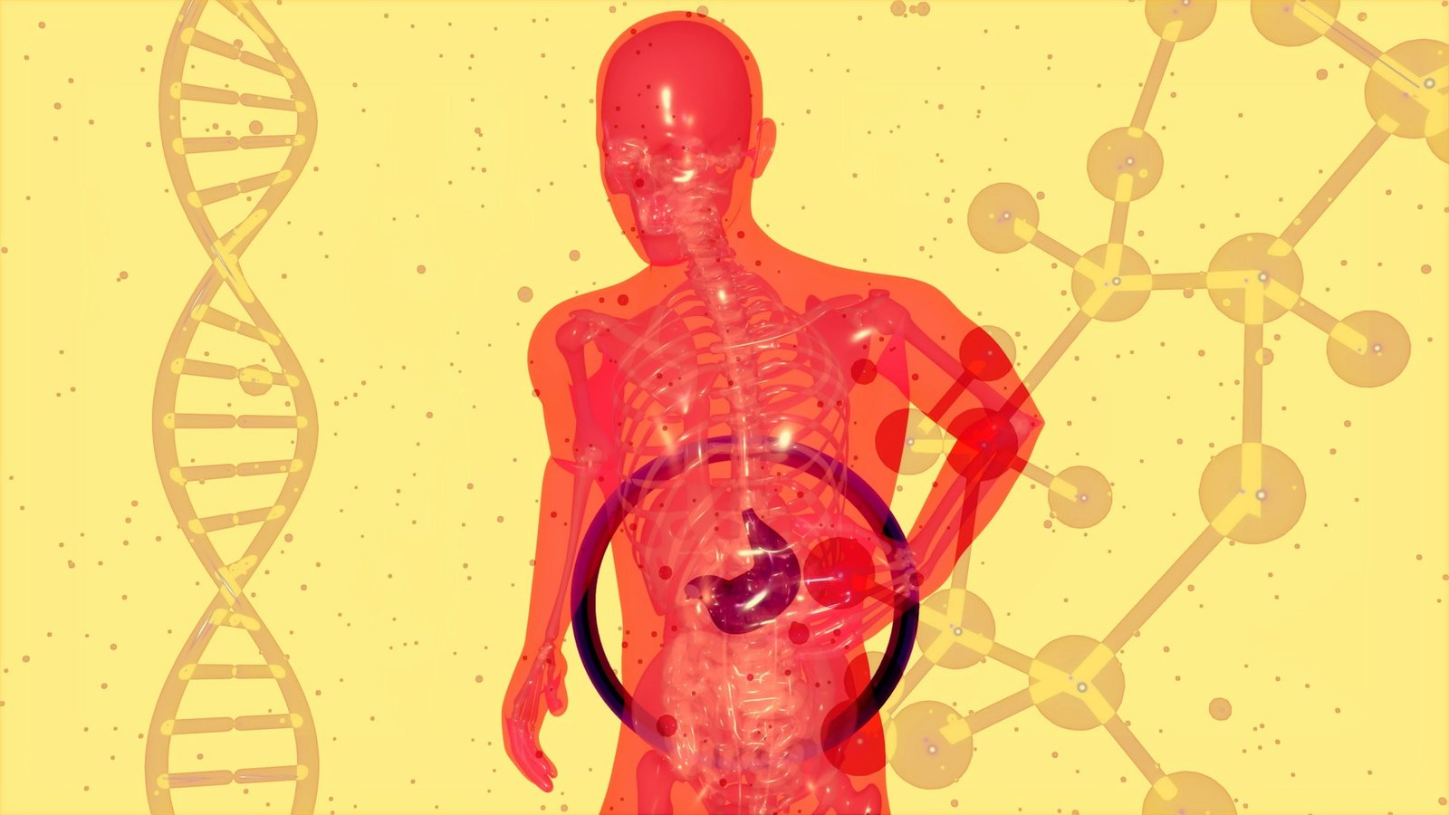 fitness tips for gut