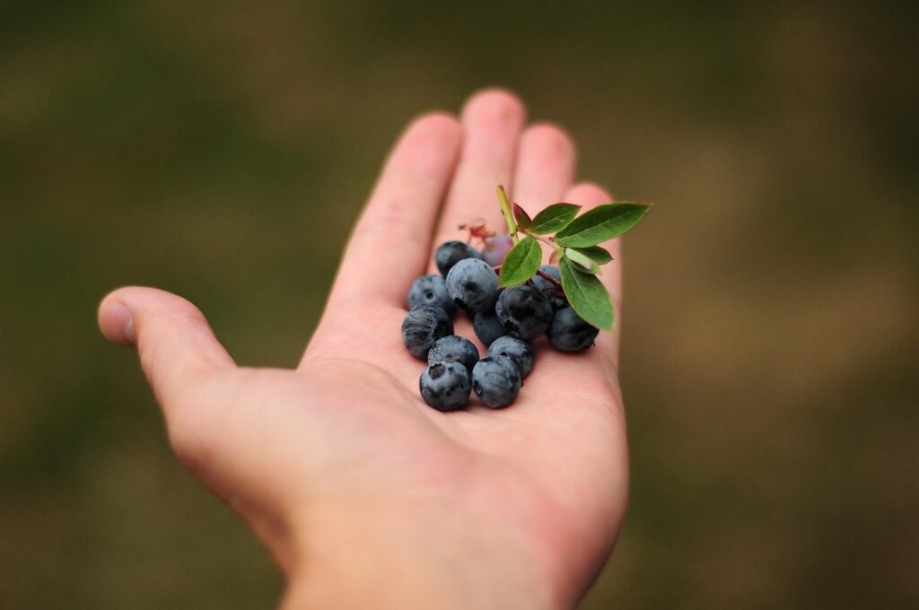 Tips For Healthy Snacking: Smart Choices For A Balanced Diet