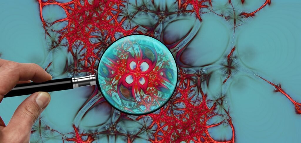 How An Inflammatory Diet Hijacks Your Nervous System & Fuels Weight Gain