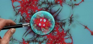 inflammatory diet and weight gain