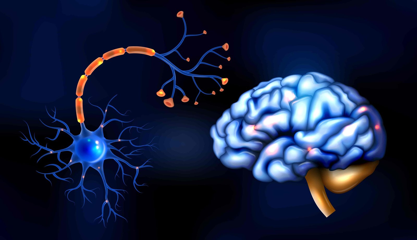 nervous system connection with weight gain